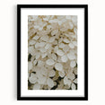 Framed wall art showcasing an intricate botanical hydrangea design in soft pastel colors, complemented by a sleek black frame and white matting, perfect for home decor.
