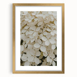 Botanical wall art showcasing a vibrant hydrangea design in a gold frame with a mat, ideal for enhancing home decor with a touch of elegance and nature.