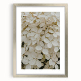 Botanical wall art featuring a stunning hydrangea design in a silver frame with a mat. Perfect for home decor, adding elegance and color to any room.