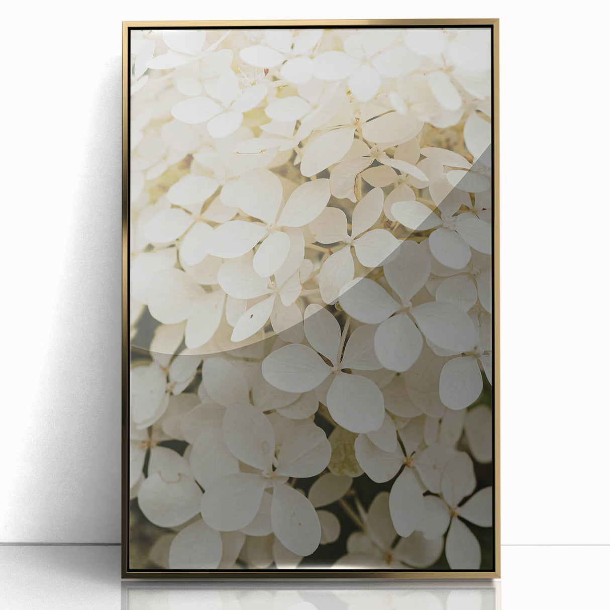Framed wall art collection showcasing a botanical hydrangea design with vibrant blue and purple flowers, encased in gold acrylic for a modern touch.