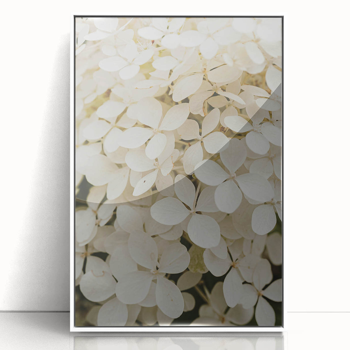 Framed wall art featuring a botanical hydrangea design in vibrant blue and white, set against a sleek acrylic background, perfect for home decor.