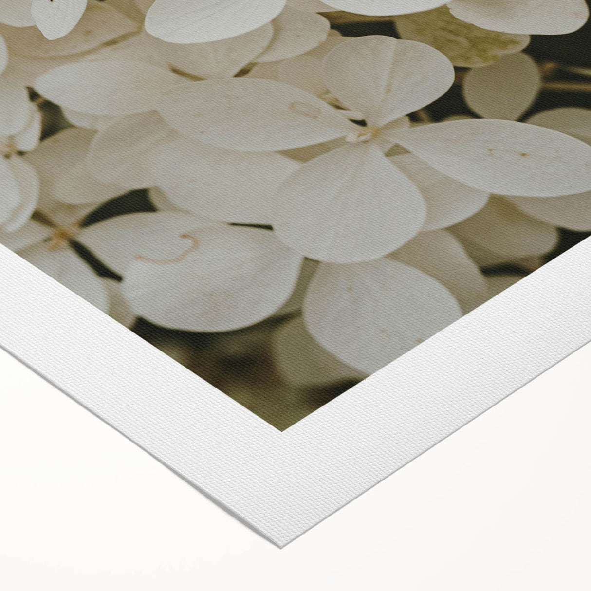 Hydrangea wall art print on rolled canvas, showcasing vibrant blue and green hues with intricate floral details, perfect for home decor and botanical themes.