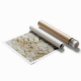 Botanical wall art print featuring a delicate hydrangea design in soft pastel colors, rolled for easy display and shipping, showcasing floral elegance and charm.