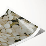 Delicate botanical hydrangea wall art design in vibrant blue and soft pink hues, expertly printed on high-quality canvas, ideal for home decor enhancement.