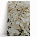 Hydrangea-themed wall art featuring a vibrant blue and soft pink botanical design on stretched canvas, elegantly leaning against a white wall for a fresh decor accent.