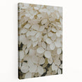 Stretched canvas wall art showcasing a botanical hydrangea design in soft blue and green hues, perfect for adding a touch of nature to home decor.