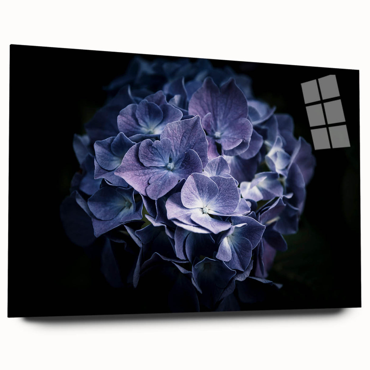 Side view of a botanical hydrangea wall art piece, elegantly displayed on acrylic glass, showcasing vibrant colors and intricate floral details, perfect for home decor.