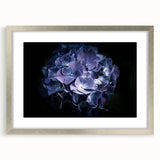 Botanical wall art featuring a detailed hydrangea design in a silver frame with matting, ideal for home decor to enhance elegance and natural beauty.