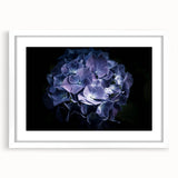 Botanical wall art featuring a delicate hydrangea design in a white frame with a mat, showcasing soft pastel colors and intricate floral details, perfect for home decor.