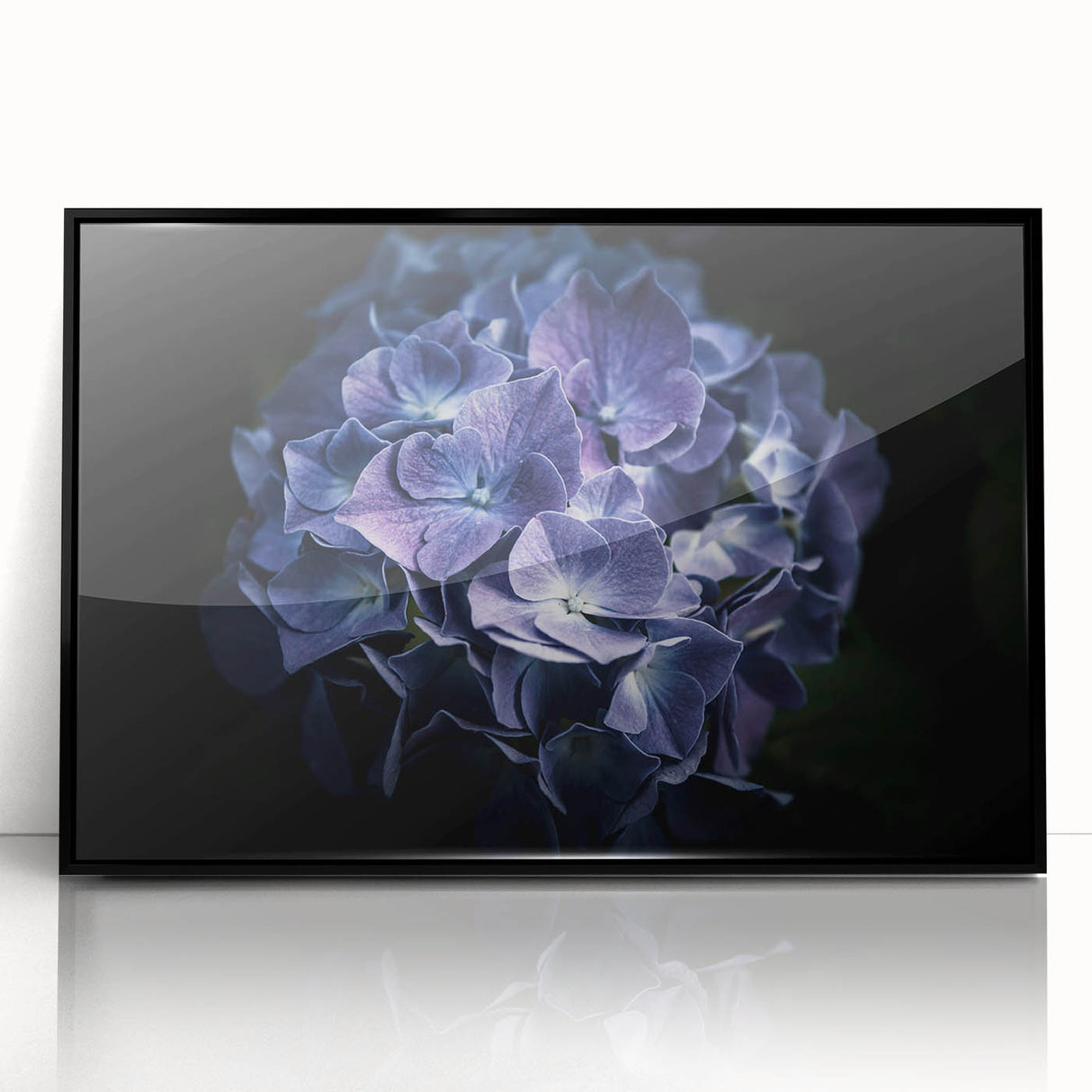 Framed black acrylic wall art showcasing a botanical hydrangea design, featuring vibrant colors and intricate details, perfect for home decor.