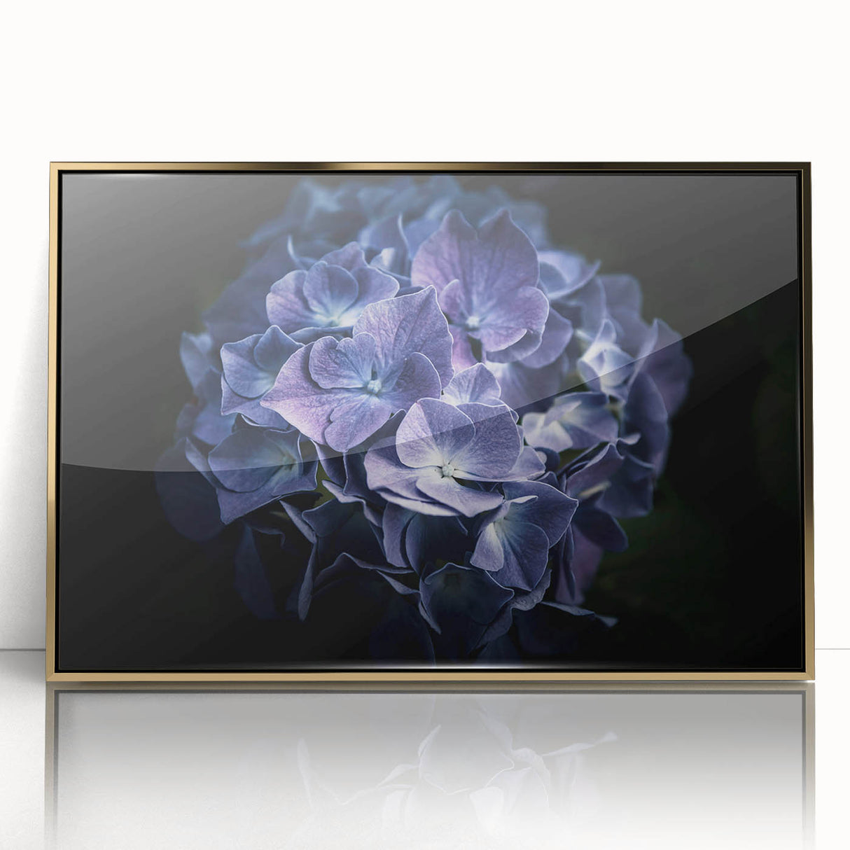 Framed wall art of a botanical hydrangea design with vibrant blue and pink flowers, set in a chic gold-accented frame, perfect for home decor.
