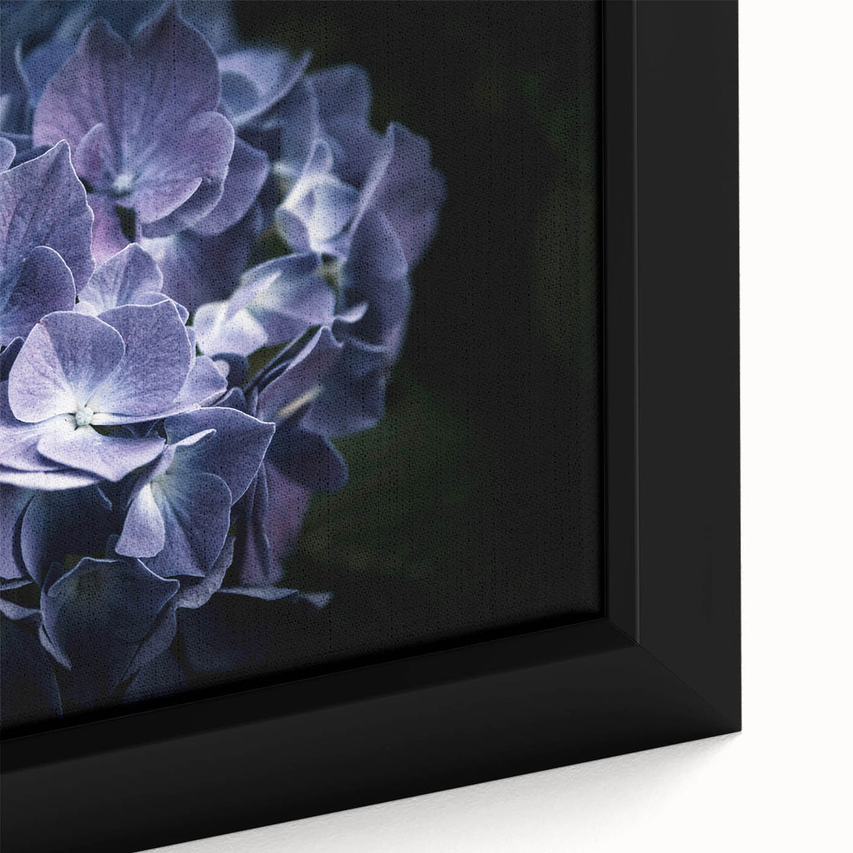 Close-up of a framed botanical wall art piece showcasing vibrant hydrangea flowers in rich hues of blue and purple, perfect for enhancing home decor with nature-inspired elegance. Ideal for floral enthusiasts and art collectors.