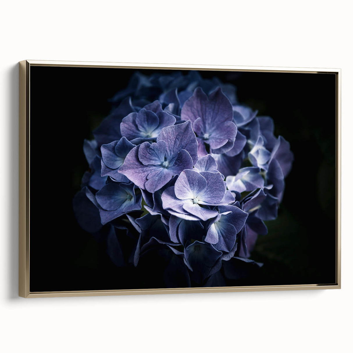 Framed canvas wall art showcasing a botanical hydrangea design, featuring vibrant colors and a gold frame, ideal for enhancing home decor aesthetics.