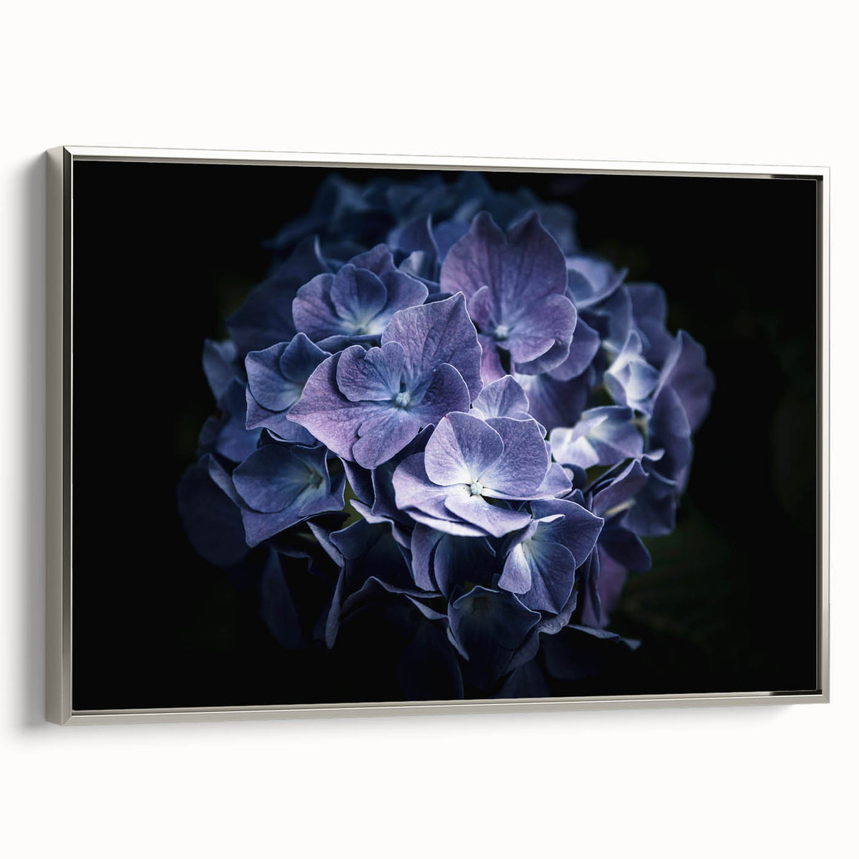Framed canvas wall art showcasing a botanical hydrangea design in soft pastel colors, elegantly displayed with a silver frame, perfect for home decor.