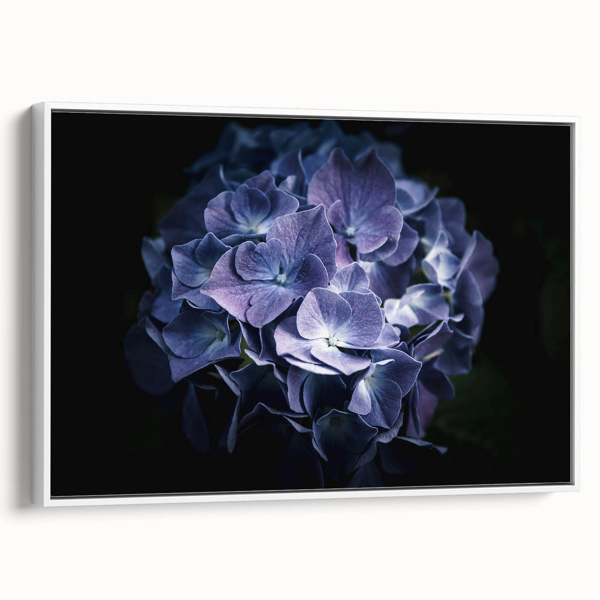 Framed canvas wall art showcasing a botanical hydrangea design with a white frame, highlighting soft pastel colors and intricate floral details, perfect for home decor.