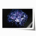 Botanical wall art print featuring a vibrant hydrangea design, showcasing detailed flower illustrations in soft pastel colors, rolled and ready for framing.