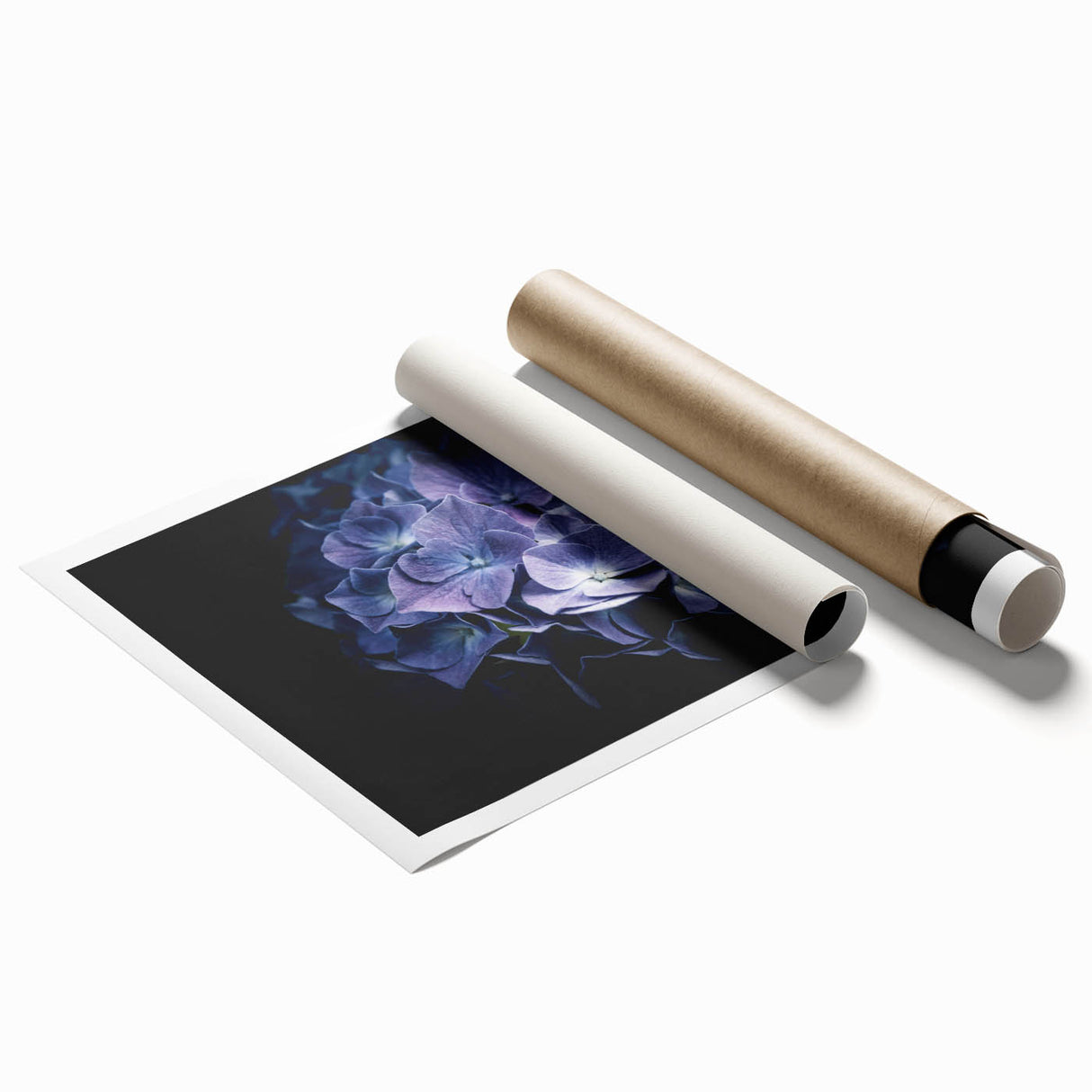 Rolled print showcasing a botanical hydrangea design with vibrant blue and green hues, perfect for home decor. Packaged securely for safe delivery.