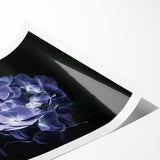 Hydrangea botanical wall art print showcasing vibrant blue and purple flowers on a textured background, perfect for home decor or gallery display. Ideal for nature lovers.
