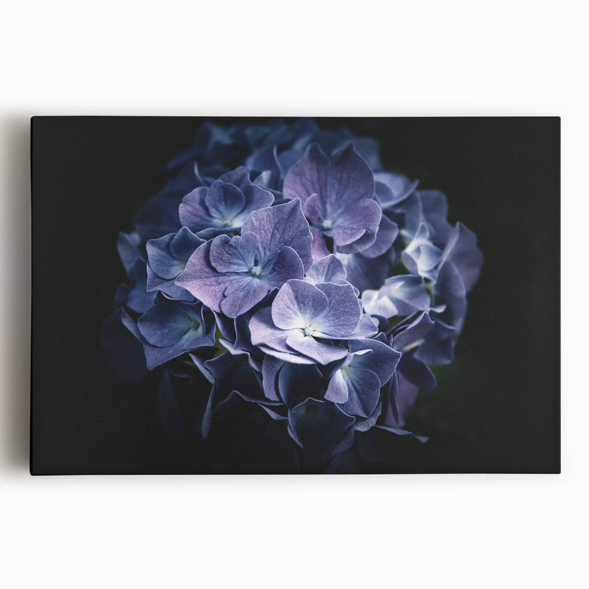 Botanical wall art featuring a vibrant hydrangea design on stretched canvas, showcasing rich colors and intricate floral details, perfect for home decor.