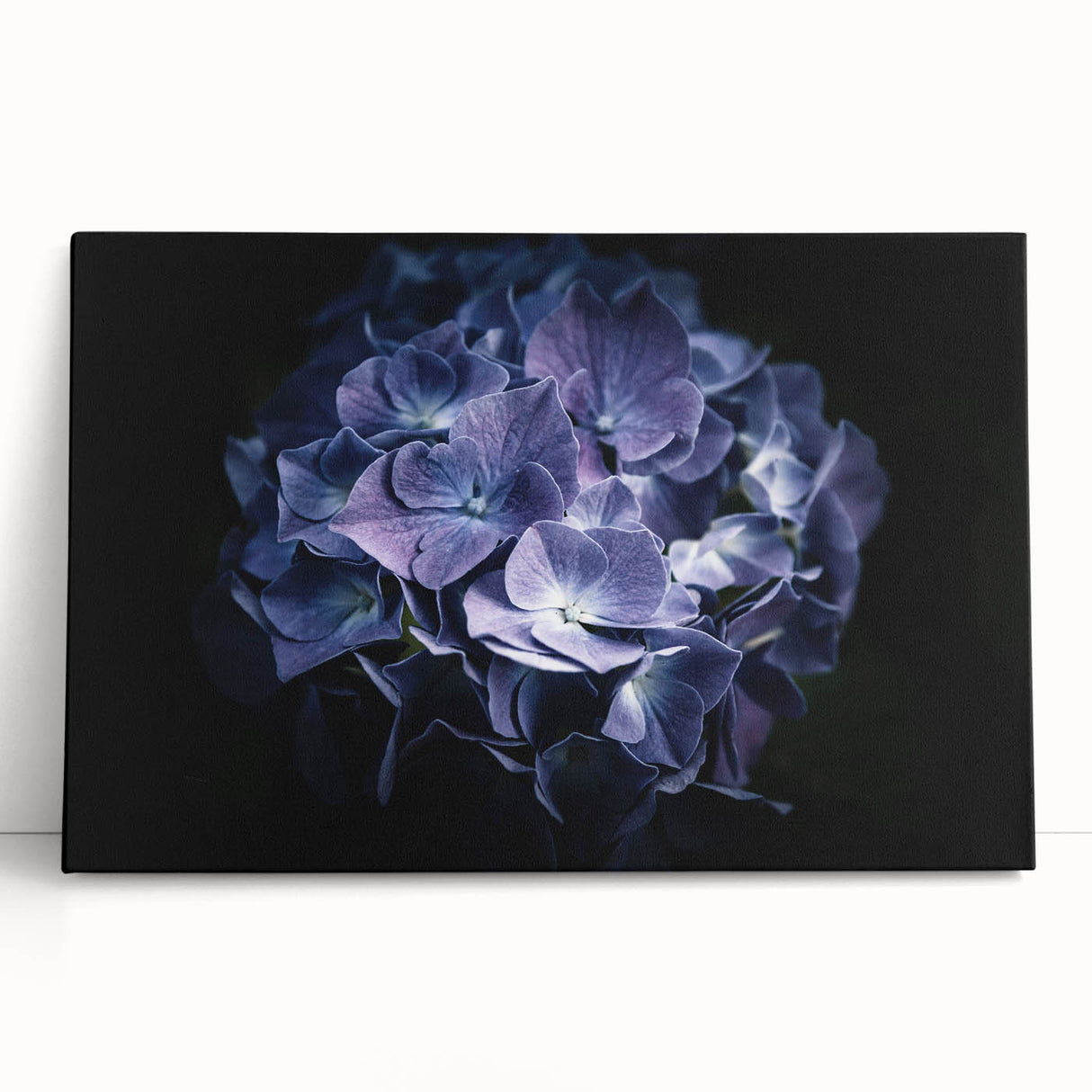 Stretched canvas wall art showcasing a vibrant blue hydrangea botanical design, elegantly leaning against a neutral wall, perfect for home decor.
