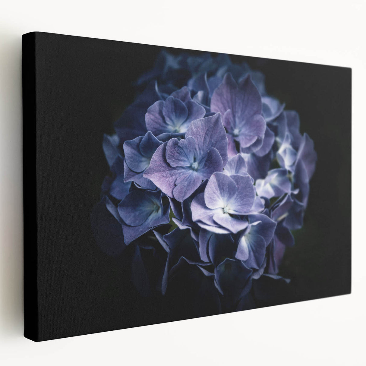 Stretched canvas wall art showcasing a beautiful botanical hydrangea design, featuring vibrant blue and green hues, perfect for adding elegance to home decor.