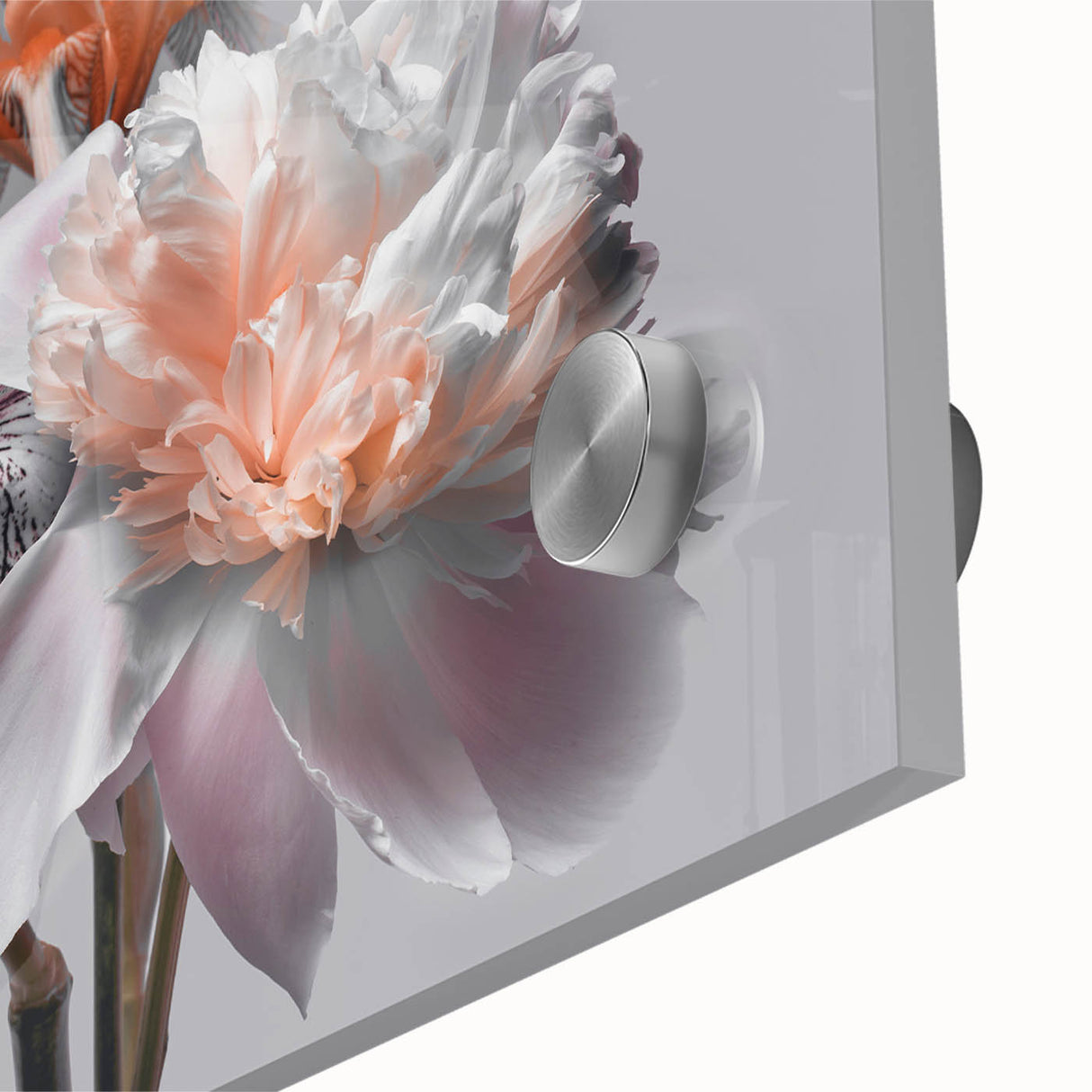 Close-up of a vibrant botanical wall art design featuring an intricate iris flower, elegantly displayed under acrylic glass, perfect for home decor enhancement.