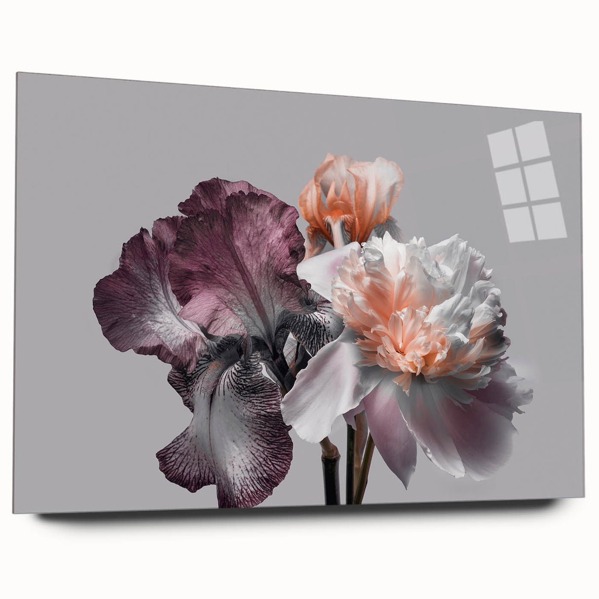 Acrylic glass wall art featuring a botanical iris design in vibrant colors, showcasing intricate floral details and a sleek side profile for modern decor.