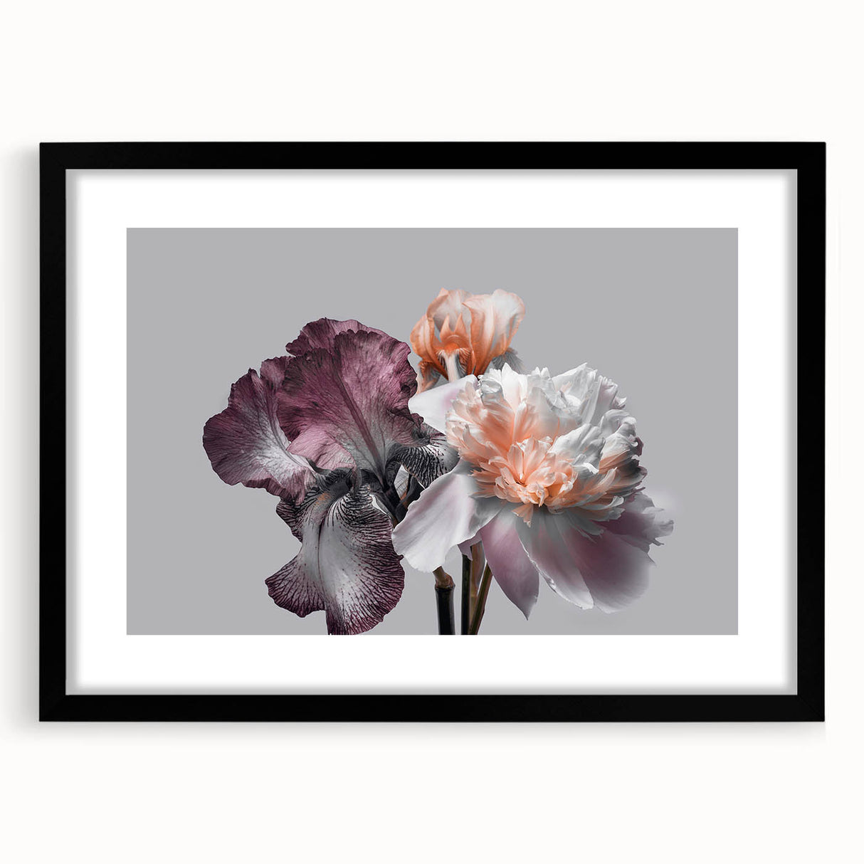 Botanical wall art featuring a beautifully framed iris design with a black mat and frame, perfect for enhancing modern home decor. Ideal for floral enthusiasts.