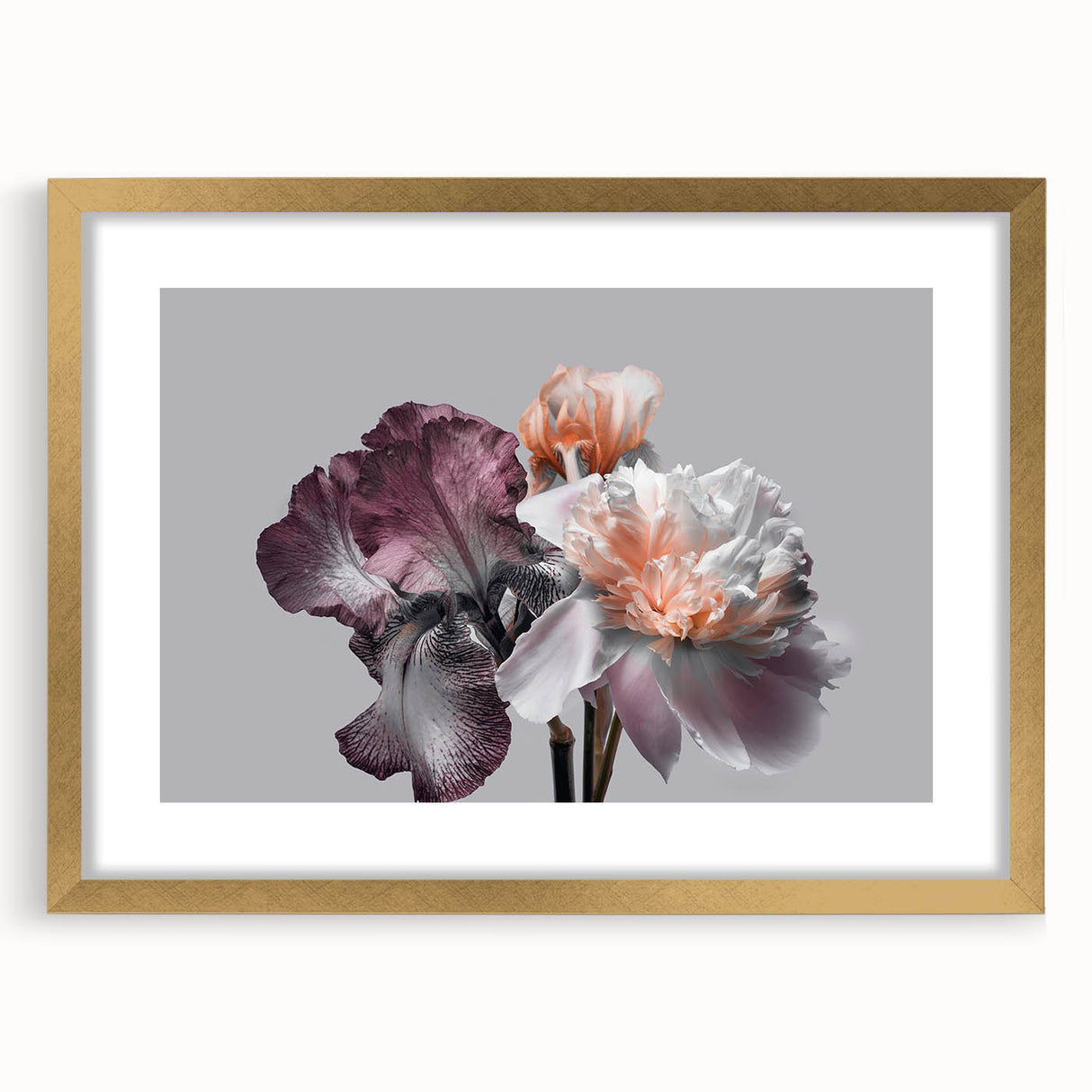 Botanical wall art featuring a stunning gold-framed iris design with a mat, showcasing intricate floral details and vibrant colors, perfect for home decor enhancement.