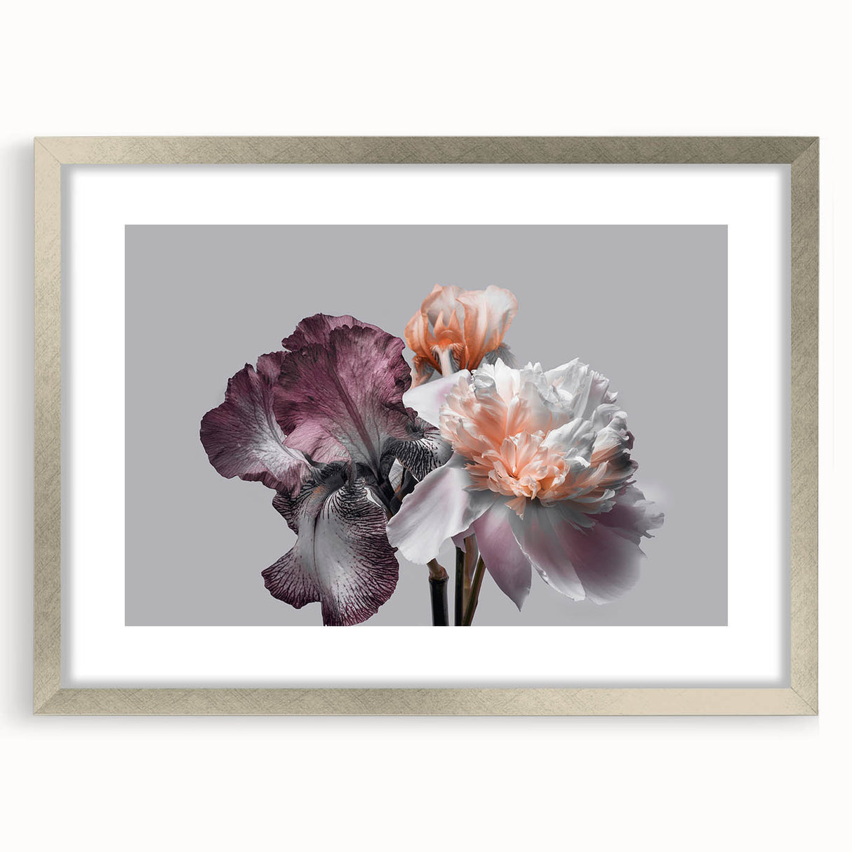 Framed botanical wall art featuring an elegant iris design, showcased in a silver frame with a mat, perfect for home decor and floral enthusiasts.