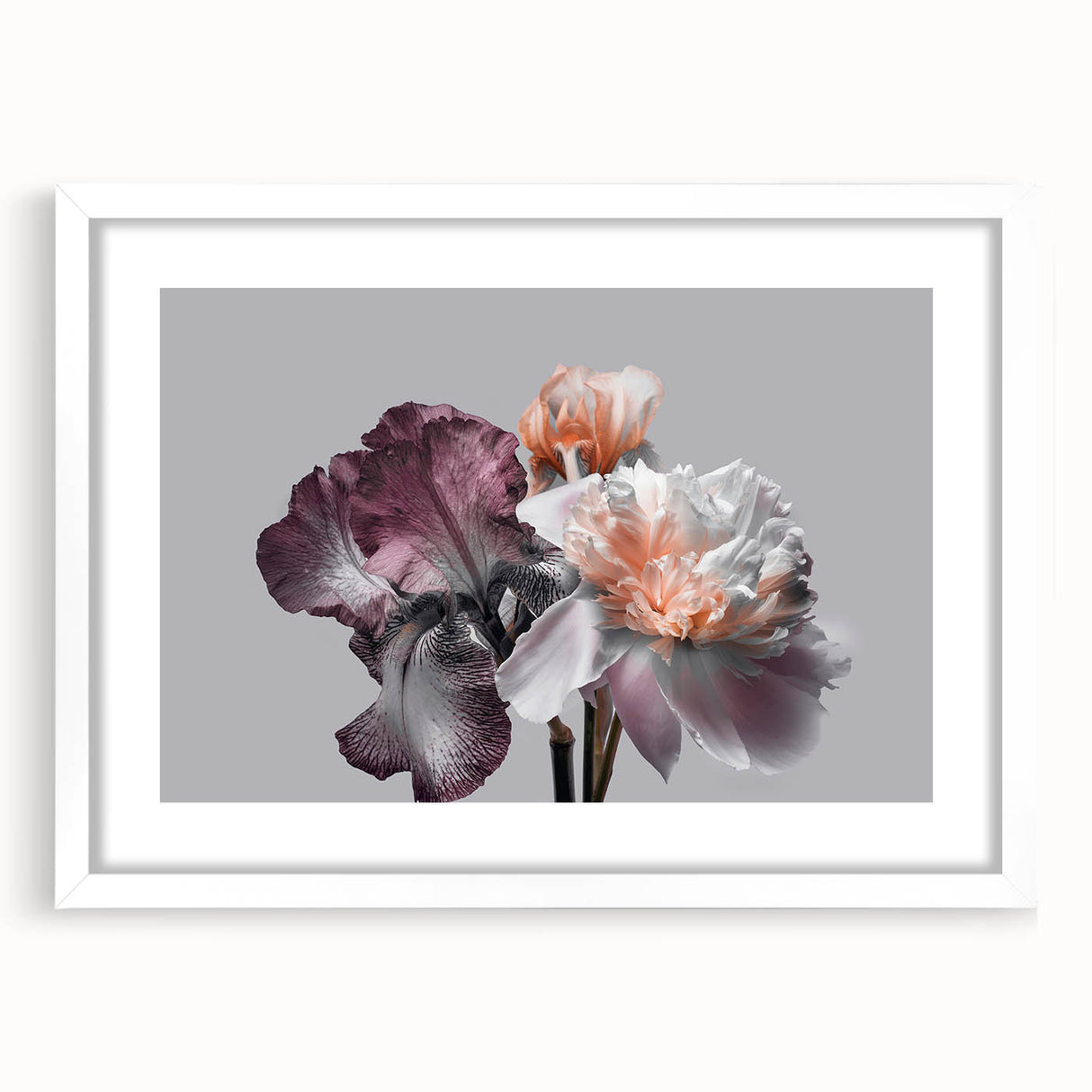 Botanical wall art print featuring delicate irises in soft hues, elegantly framed with a white mat, perfect for enhancing modern home decor.