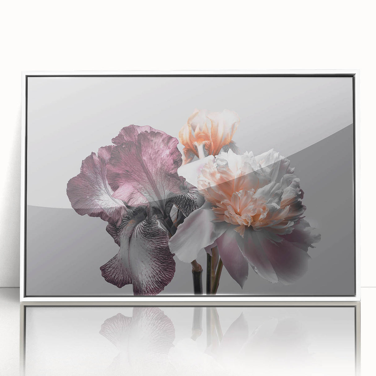 Framed wall art featuring a botanical iris design with vibrant colors and intricate details, displayed in a white frame, perfect for home decor and floral enthusiasts.