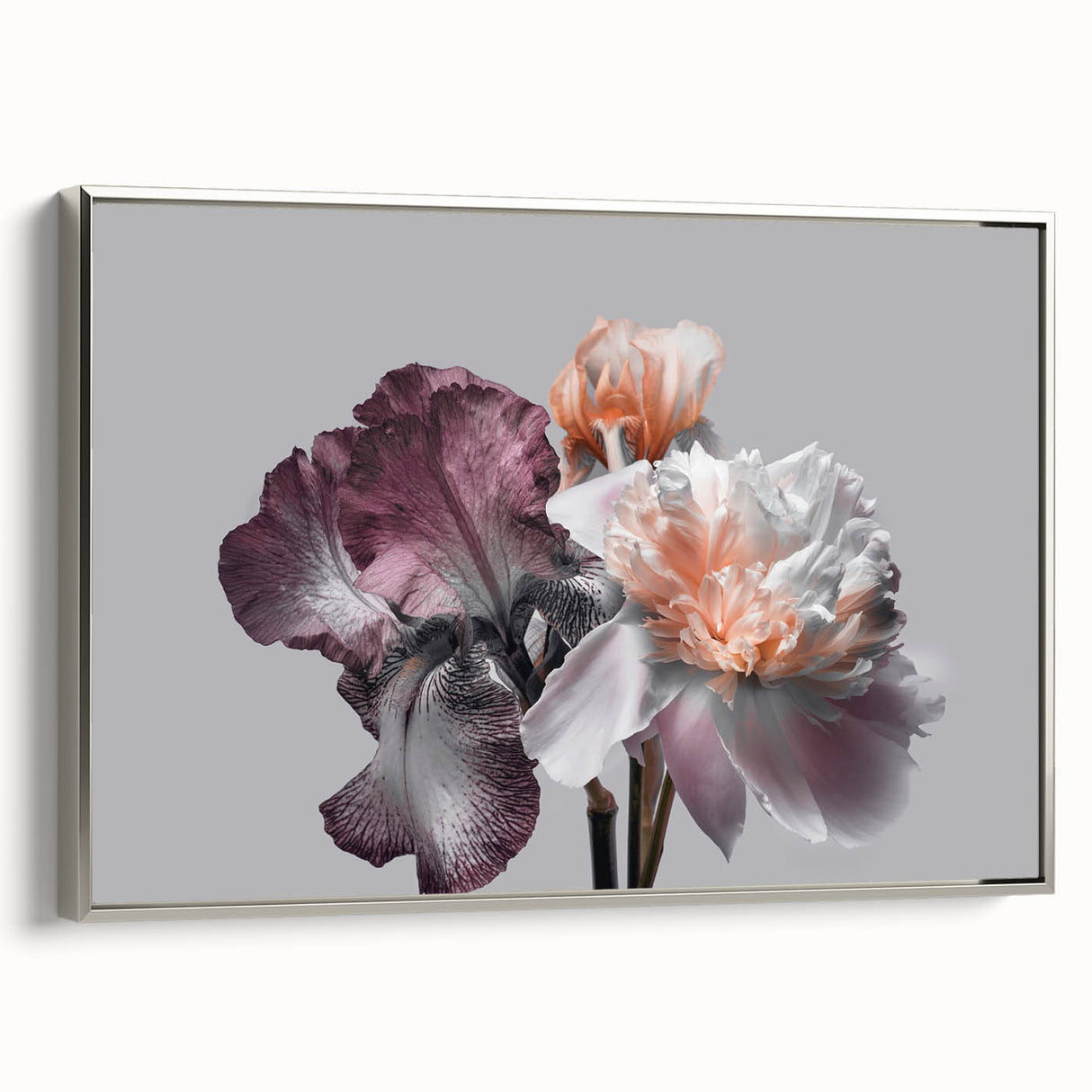 Framed canvas wall art featuring a botanical iris design with a silver frame, showcasing vibrant floral colors and intricate details, perfect for home decor.