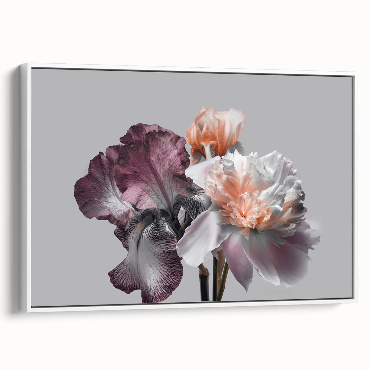 Framed wall art showcasing a botanical iris design on canvas, featuring vibrant colors and intricate details, displayed on a white background for a modern touch.