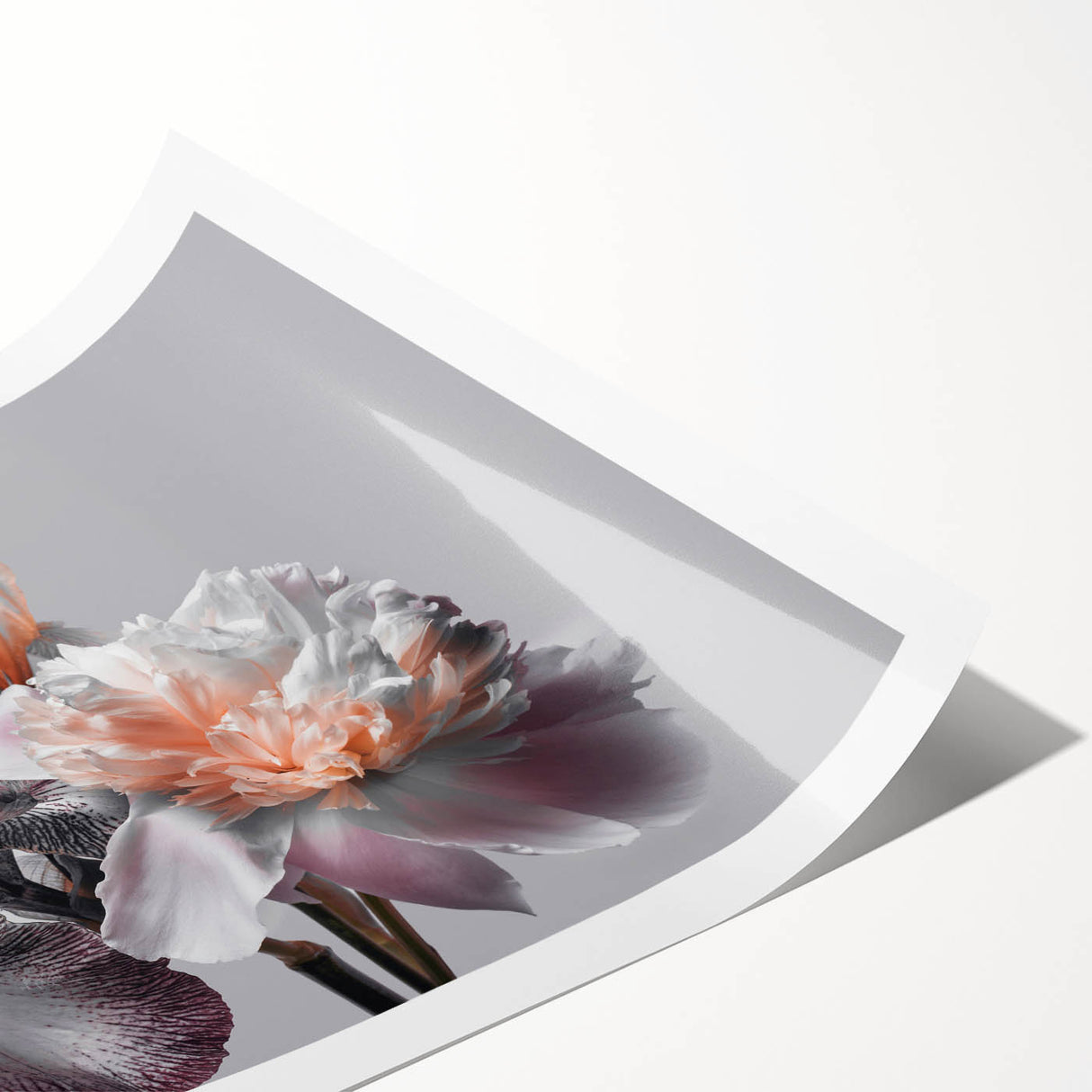 Vibrant botanical wall art print showcasing an intricately designed iris flower in soft pastel colors, rolled for easy display and shipping, perfect for home decor.