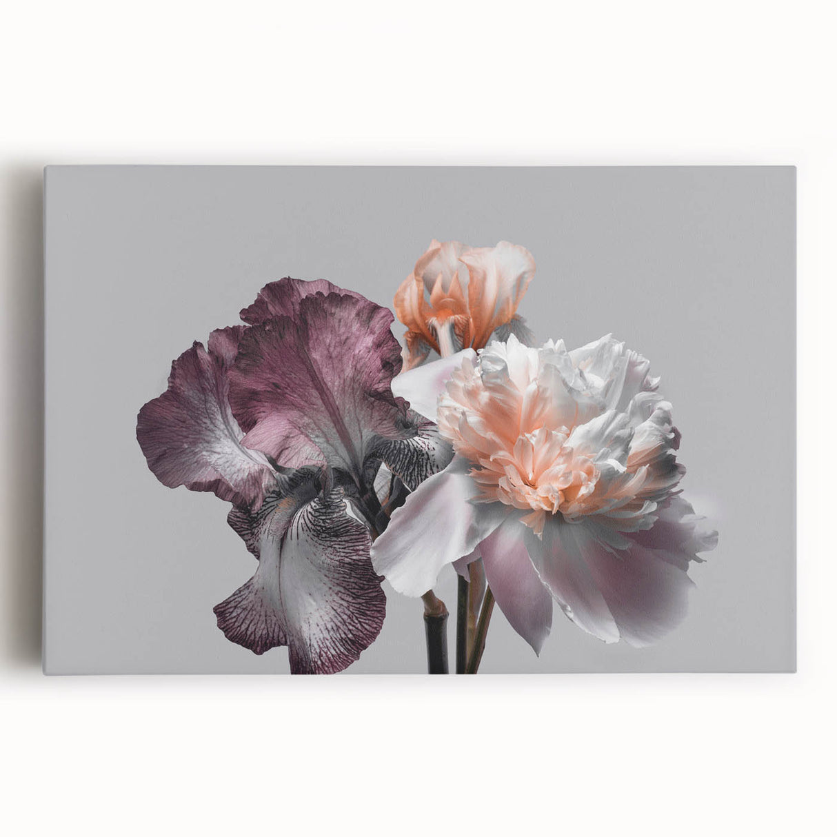 Stretched canvas wall art featuring a vibrant botanical design of irises in shades of blue and purple, ideal for home decor or floral-themed interiors.