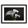 Botanical wall art featuring a detailed iris design in a black frame with a mat, perfect for home decor or gallery displays, enhancing any interior style.