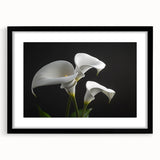 Botanical wall art featuring a detailed iris design in a black frame with a mat, perfect for home decor or gallery displays, enhancing any interior style.