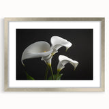 Botanical iris wall art design in a silver frame with a mat, showcasing vibrant floral illustrations ideal for home decor. Perfect for nature-inspired interiors.