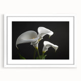 Framed botanical wall art featuring a detailed iris design, presented in a white frame with a mat. Ideal for home decor, adding elegance and natural beauty to any space.