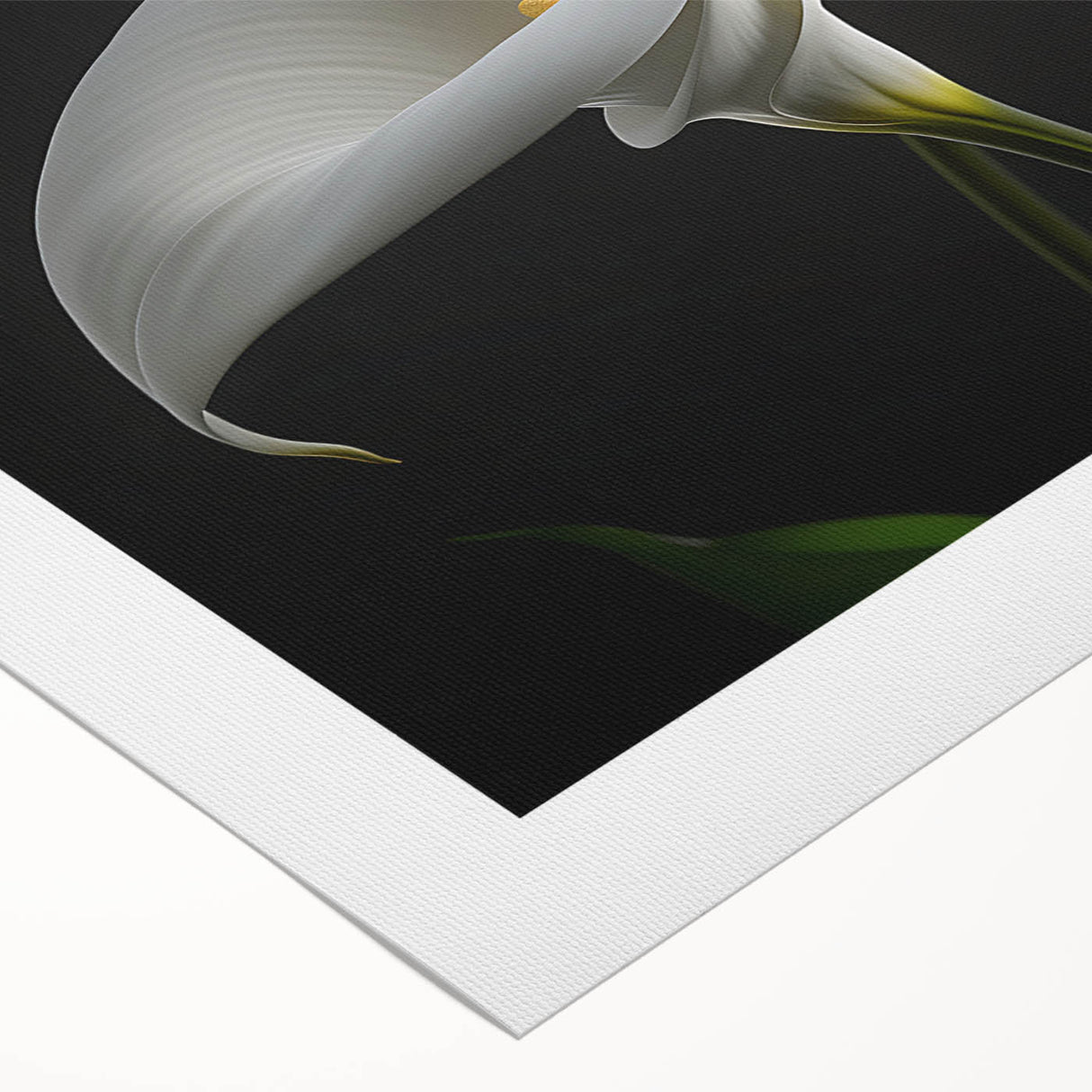 Botanical wall art featuring a vibrant iris design on rolled canvas, showcasing intricate floral details with rich colors, perfect for home decor accents.
