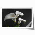 Vibrant botanical wall art print showcasing delicate iris flowers in soft purple and green hues, perfect for home decor or nature-themed interiors, rolled for easy framing.