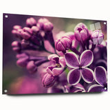 Acrylic glass wall art featuring a botanical lavender design, showcasing vibrant purple flowers with green foliage, mounted with decorative pins for an elegant display.