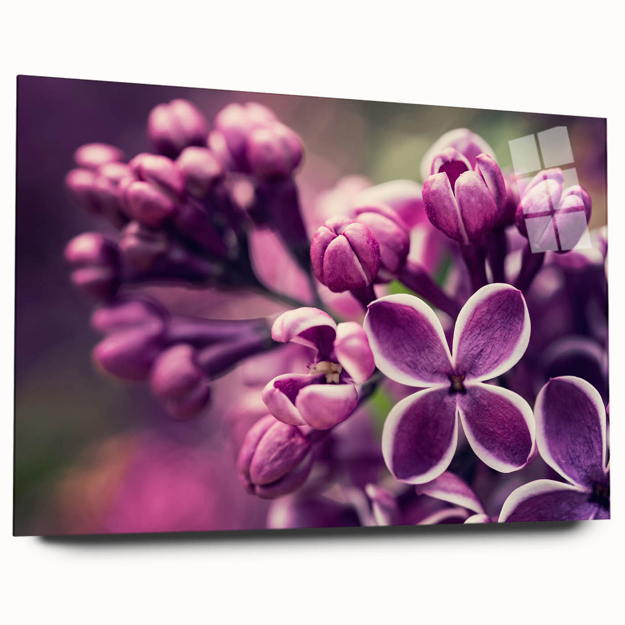 Acrylic glass wall art featuring a botanical lavender design, showcasing vibrant purple flowers and green foliage, elegantly displayed from a side view without pins.