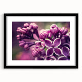 Botanical wall art featuring a lavender design in a sleek black frame, complete with a mat, showcasing intricate floral details and modern aesthetics for home decor.