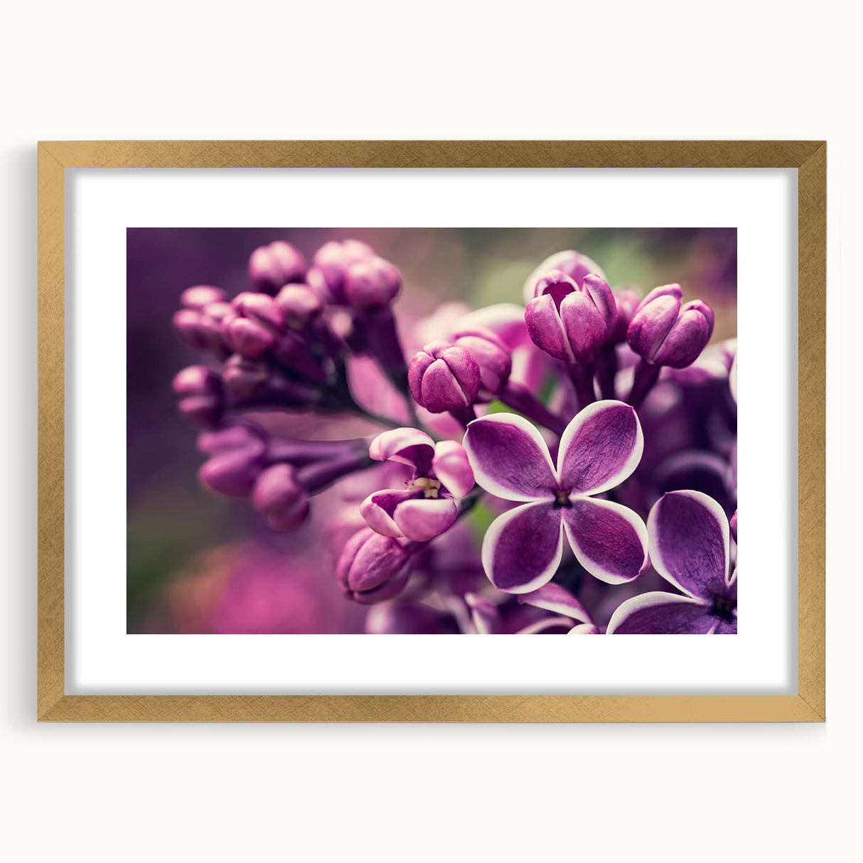 Botanical wall art featuring a lavender design in a gold frame with matting, showcasing delicate floral details ideal for home decor or gifting.