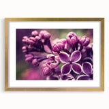 Botanical wall art featuring a lavender design in a gold frame with matting, showcasing delicate floral details ideal for home decor or gifting.