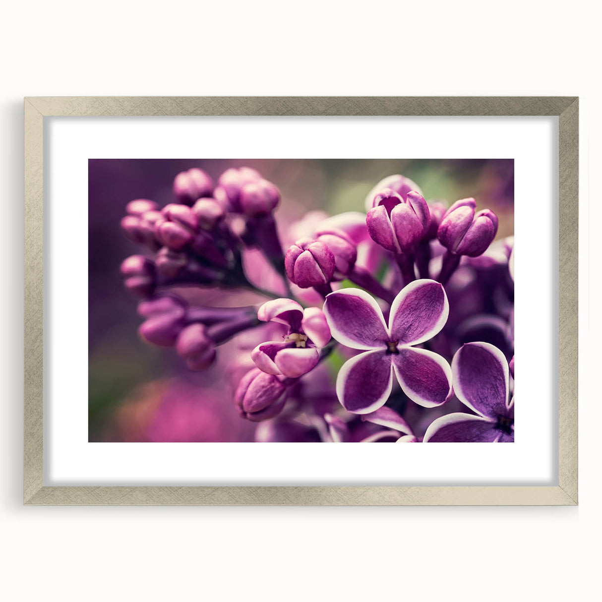 Botanical wall art print featuring a delicate lavender design in a silver frame with a white mat, ideal for enhancing home decor with a touch of elegance.