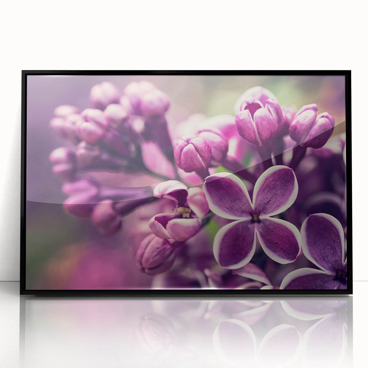 Framed wall art featuring a botanical lavender design, set in a sleek black frame. The acrylic finish enhances the vibrant colors and intricate floral details, perfect for adding a touch of elegance to any home decor.