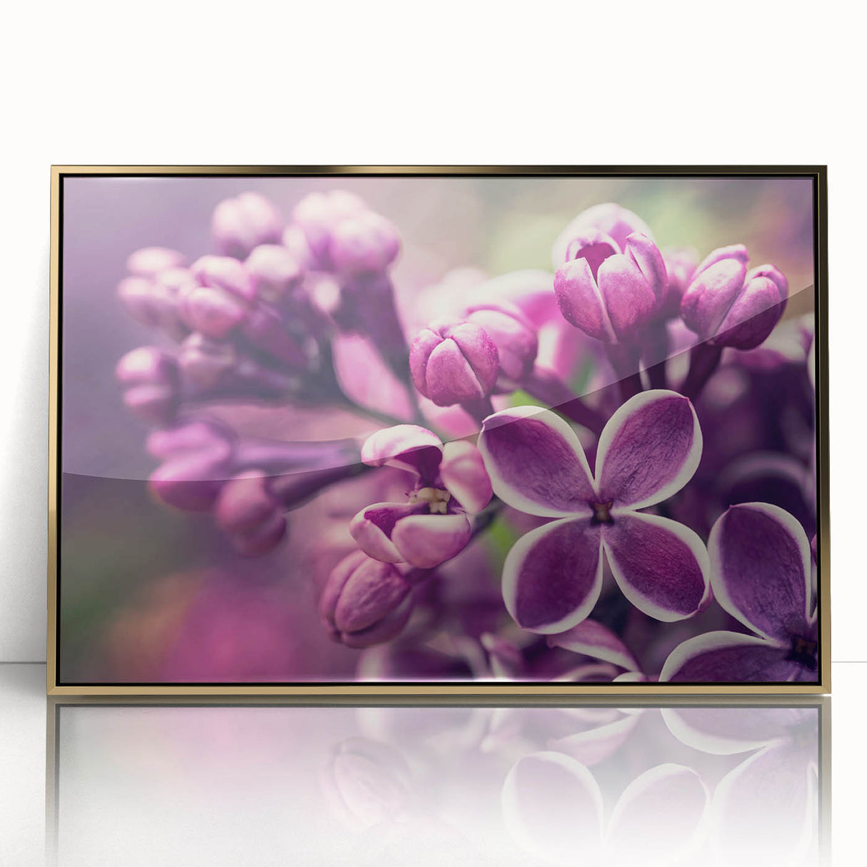 Framed wall art featuring a botanical lavender design with gold accents, showcasing delicate purple flowers against a white backdrop, ideal for home decor.